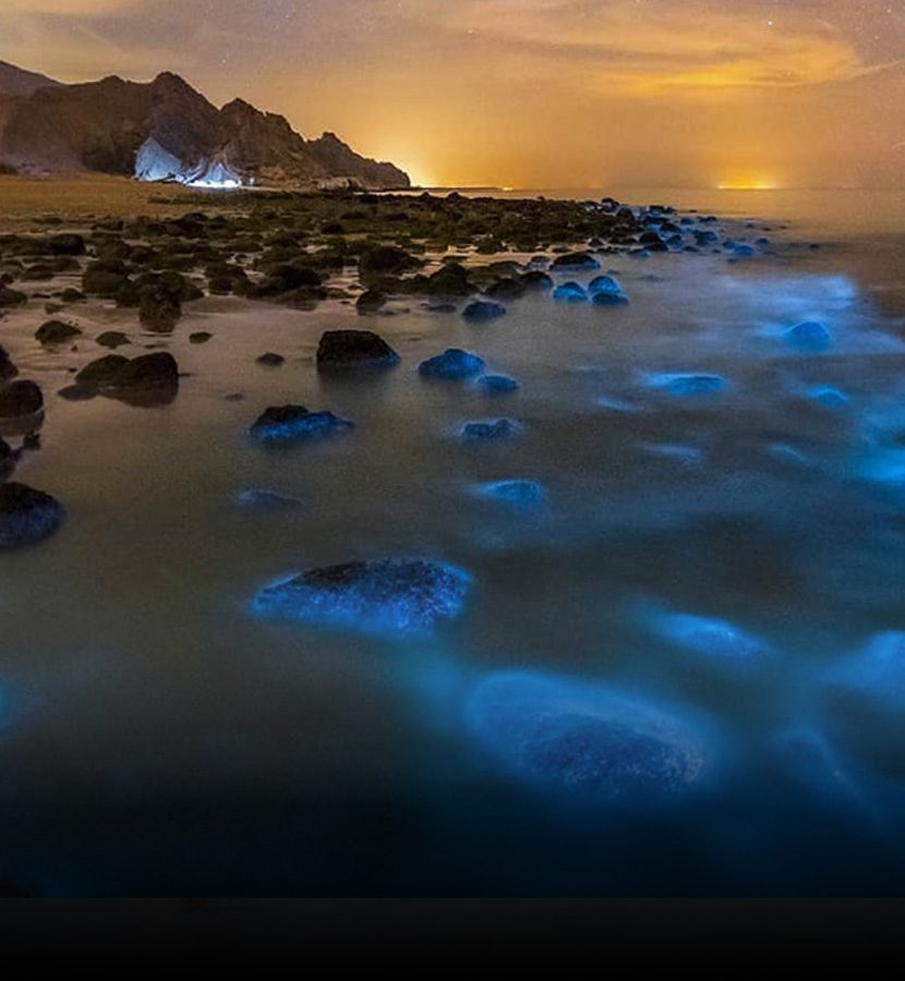 کمپ در جزیره لارک